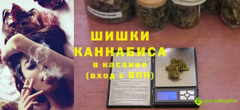 Конопля планчик  закладки  Льгов 